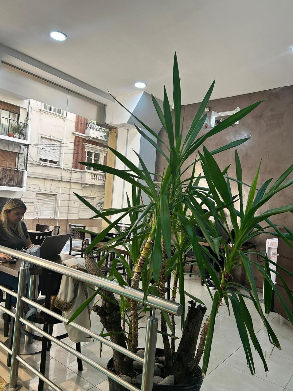 Hostel Che Ba Buenos Aires Exterior photo